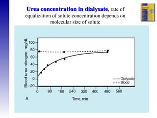Urea concentration in dialysate ,  rate of equalization of solute concentration depends on molecular size of solute 