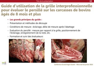 Titre de la présentation
Conférence Grand Angle Viande – Mercredi 18 janvier 2023
Guide d’utilisation de la grille interprofessionnelle
pour évaluer le persillé sur les carcasses de bovins
âgés de 8 mois et plus
• Les grands principes du guide :
- Présentation et méthodes de découpe
- Conditions de mesure : éclairage, délai de mesure après l’abattage
- Evaluation du persillé : mesure par rapport à la grille, positionnement de
l’éclairage, enregistrement de la note, etc.
- Formation et suivi des évaluateurs
19
 