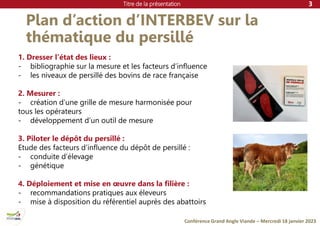 Titre de la présentation
Conférence Grand Angle Viande – Mercredi 18 janvier 2023
Plan d’action d’INTERBEV sur la
thématique du persillé
3
1. Dresser l’état des lieux :
- bibliographie sur la mesure et les facteurs d’influence
- les niveaux de persillé des bovins de race française
2. Mesurer :
- création d’une grille de mesure harmonisée pour
tous les opérateurs
- développement d’un outil de mesure
3. Piloter le dépôt du persillé :
Etude des facteurs d’influence du dépôt de persillé :
- conduite d’élevage
- génétique
4. Déploiement et mise en œuvre dans la filière :
- recommandations pratiques aux éleveurs
- mise à disposition du référentiel auprès des abattoirs
 
