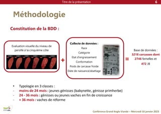 Titre de la présentation
Conférence Grand Angle Viande – Mercredi 18 janvier 2023
Méthodologie
6
Collecte de données :
Race
Catégorie
Etat d’engraissement
Conformation
Poids de carcasse froide
Date de naissance/abattage
Base de données :
3218 carcasses dont
2746 femelles et
472 JB
Evaluation visuelle du niveau de
persillé à la cinquième côte
Constitution de la BDD :
+ =
• Typologie en 3 classes :
- moins de 24 mois : jeunes génisses (babynette, génisse primherbe)
- 24 - 36 mois : génisses ou jeunes vaches en fin de croissance
- + 36 mois : vaches de réforme
 