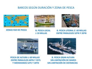 ZONAS FAO DE PESCA
PESCA DE ALTURA ≥ 60 MILLAS B. PESCA GRAN ALTURA
ENTRE PARALELOS 60ºN Y 35ºS SIN LIMITACIÓN DE MARES
Y MERIDIANOS 52ºE Y 20ºO SIN LIMITACIÓN DE DISTANCIAS
BARCOS SEGÚN DURACIÓN Y ZONA DE PESCA
B. PESCA LOCAL B. PESCA LITORAL ≤ 60 MILLAS
≤ 10 MILLAS ENTRE PARALELOS 52ºN Y 20ºN
 