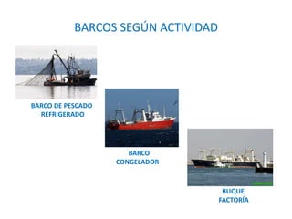 BARCO
CONGELADOR
BARCOS SEGÚN ACTIVIDAD
BUQUE
FACTORÍA
BARCO DE PESCADO
REFRIGERADO
 