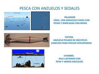 CHAMBEL
HILO LASTRADO CON
PESO Y VARIOS ANZUELOS
PALANGRE
LÍNEA CON ANZUELOS FIJADA CON
PESOS Y MARCADAS CON BOYAS
POTERA
ANZUELO PESADO DE MÚLTIPLES
GANCHOS PARA PESCAR CEFALÓPODOS
PESCA CON ANZUELOS Y SEDALES
 