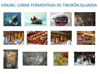 HÁKARL: CARNE FERMENTADA DE TIBURÓN.ISLANDIA
 