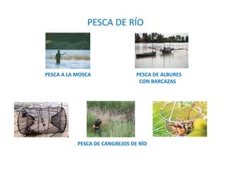PESCA DE RÍO
PESCA A LA MOSCA PESCA DE ALBURES
CON BARCAZAS
PESCA DE CANGREJOS DE RÍO
 
