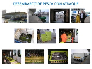 DESEMBARCO DE PESCA CON ATRAQUE
 