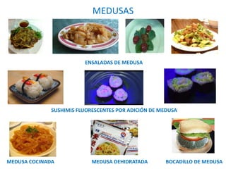 MEDUSAS
ENSALADAS DE MEDUSA
MEDUSA COCINADA MEDUSA DEHIDRATADA BOCADILLO DE MEDUSA
SUSHIMIS FLUORESCENTES POR ADICIÓN DE MEDUSA
 