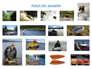 PESCA DEL SALMÓN
 