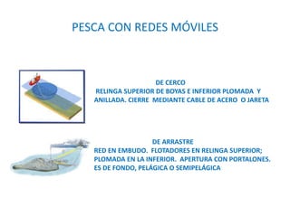 DE CERCO
RELINGA SUPERIOR DE BOYAS E INFERIOR PLOMADA Y
ANILLADA. CIERRE MEDIANTE CABLE DE ACERO O JARETA
DE ARRASTRE
RED EN EMBUDO. FLOTADORES EN RELINGA SUPERIOR;
PLOMADA EN LA INFERIOR. APERTURA CON PORTALONES.
ES DE FONDO, PELÁGICA O SEMIPELÁGICA
PESCA CON REDES MÓVILES
 