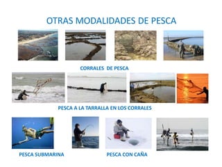 OTRAS MODALIDADES DE PESCA
CORRALES DE PESCA
PESCA A LA TARRALLA EN LOS CORRALES
PESCA SUBMARINA PESCA CON CAÑA
 