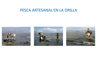 PESCA ARTESANAL EN LA ORILLA
 