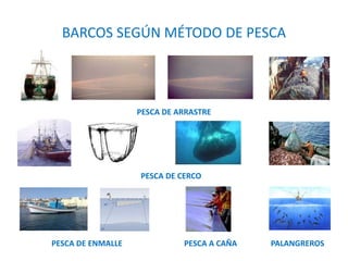 PESCA DE ENMALLE PESCA A CAÑA PALANGREROS
PESCA DE ARRASTRE
PESCA DE CERCO
BARCOS SEGÚN MÉTODO DE PESCA
 