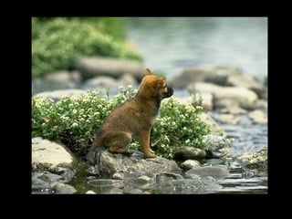 11 phot d'art_divers