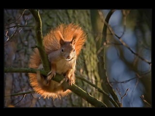 11 phot d'art_divers