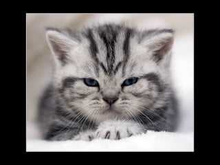 11 phot d'art_divers