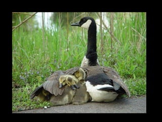 11 phot d'art_divers