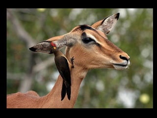 11 phot d'art_divers