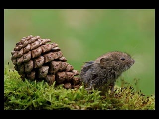 11 phot d'art_divers