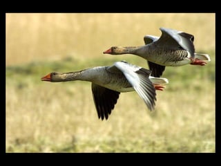 11 phot d'art_divers