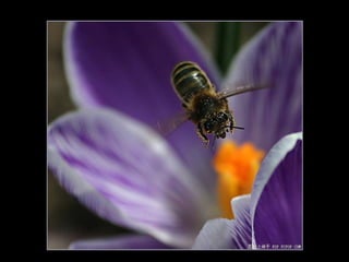 11 phot d'art_divers