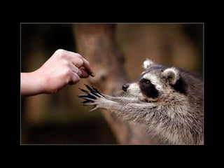 11 phot d'art_divers