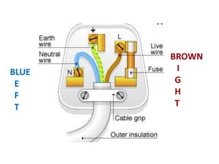 BLUE
E
F
T
BROWN
I
G
H
T
 