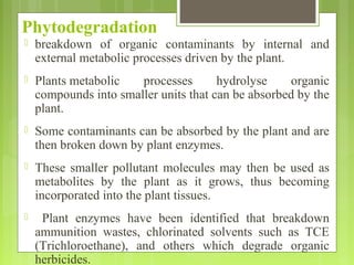  breakdown of organic contaminants by internal and
external metabolic processes driven by the plant.
 Plants metabolic p...