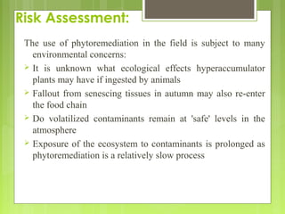 Risk Assessment:
The use of phytoremediation in the field is subject to many
environmental concerns:
 It is unknown what ...