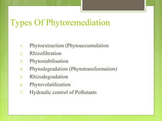 Types Of Phytoremediation
1. Phytoextraction (Phytoaccumulation
2. Rhizofiltration
3. Phytostabilisation
4. Phytodegradati...