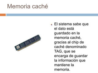 Memoria caché

                El sistema sabe que
                el dato está
                guardado en la
                memoria caché,
                gracias al chip de
                caché denominado
                TAG, que se
                encarga de guardar
                la información que
                mantiene la
                memoria.
 
