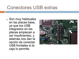 Conectores USB extras

Son muy habituales
en las placas base,
ya que los USB
integrados en las
placas empiezan a
ser insuficientes, y
además nos dan la
opción de conectar
USB frontales si la
caja lo permite.
 