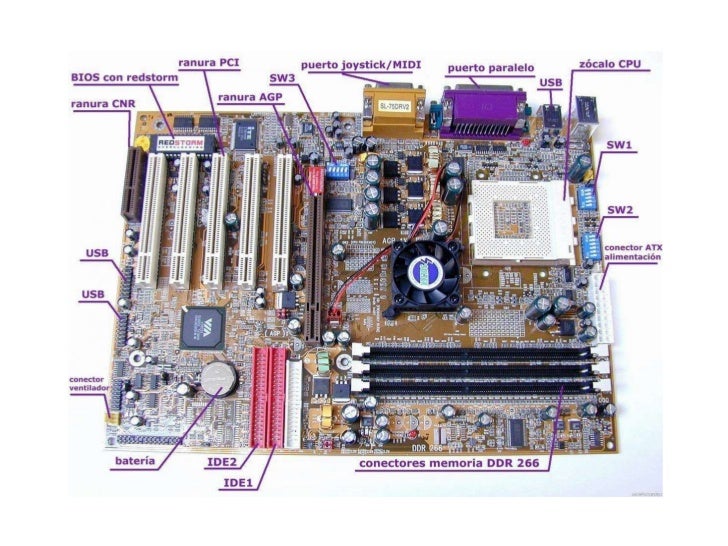 Resultado de imagen para 10. ¿Qué elementos se conectan a la tarjeta madre (Mother Board o placa base)?
