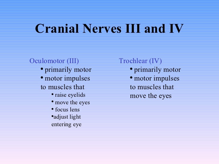11 Peripheral Nervous System