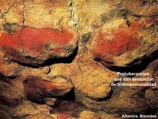 Altamira. Bisontes Protuberancias que dan sensación de tridimensionalidad 
