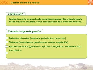 9_curro_bonet