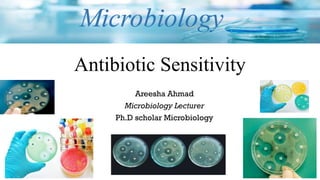 Procedure of sensitivity - Microbiology for Lab Technicians | PPTX