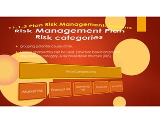 11 project risk management | PDF