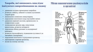 Місця накопичення радіонуклідів
в організмі
Хвороби, які виникають внаслідок
іонізуючого випромінювання на людину
• ураження гострою променевою хворобою
• розвиток лейкозу, лейкемії та інших пухлинних
хвороб крові
• виникнення злоякісних новоутворень
• порушення генетичного коду (мутаційні зміни)
• ураження нервової системи, кровоносних та
лімфатичних судин
• пошкодження органів зору, помутніння
кришталика, розвиток катаракти
• порушення обміну речовин та ендокринної
рівноваги
• розвиток імунодефіциту, підвищення чутливості до
звичайних захворювань
• порушення психічного та розумового розвитку
• прискорення старіння організму
• вплив на статеву систему.
 