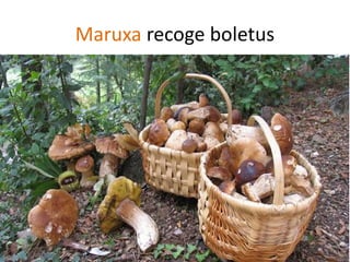 Maruxa recoge boletus
