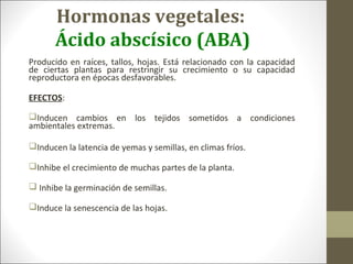 Hormonas vegetales:
Ácido abscísico (ABA)
Producido en raíces, tallos, hojas. Está relacionado con la capacidad
de ciertas plantas para restringir su crecimiento o su capacidad
reproductora en épocas desfavorables.
EFECTOS:
Inducen cambios en los tejidos sometidos a condiciones
ambientales extremas.
Inducen la latencia de yemas y semillas, en climas fríos.
Inhibe el crecimiento de muchas partes de la planta.
 Inhibe la germinación de semillas.
Induce la senescencia de las hojas.
 