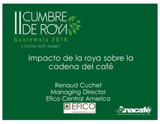 Impacto de la roya sobre la
cadena del café
Renaud Cuchet
Managing Director
Efico Central America
 