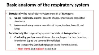 Basic Respiratory Unit 11 Respiratory premed.pptx hrhjtjhdgnnvcxzssgj | PPTX