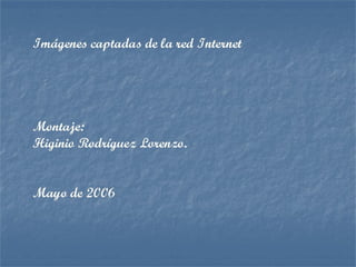 J. Honoré FragonardJ. Honoré Fragonard 1755 El columpio. Colección1755 El columpio. Colección
 