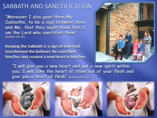 “Moreover I also gave them My
Sabbaths, to be a sign between them
and Me, that they might know that I
am the Lord who sanctifies them”
(Ezekiel 20:12)

Keeping the Sabbath is a sign of how God
transformed the believer. He sanctified
him/her and created a new heart in him/her.
“I will give you a new heart and put a new spirit within
you; I will take the heart of stone out of your flesh and
give you a heart of flesh” (Ezekiel 36:26)

 