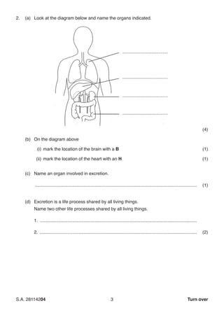 S.A. 28114204	3 Turn over
2.	 (a)	 Look at the diagram below and name the organs indicated.
(4)
(b)	 On the diagram above
	 (i)	mark the location of the brain with a B(1)
	 (ii)	mark the location of the heart with an H(1)
(c)	 Name an organ involved in excretion.
	 ..................................................................................................................................(1)
(d)	 Excretion is a life process shared by all living things.
	 Name two other life processes shared by all living things.
1. ..............................................................................................................................
2. ..............................................................................................................................(2)
 