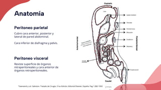 Anatomia Quirurgica del Peritoneo .pptx