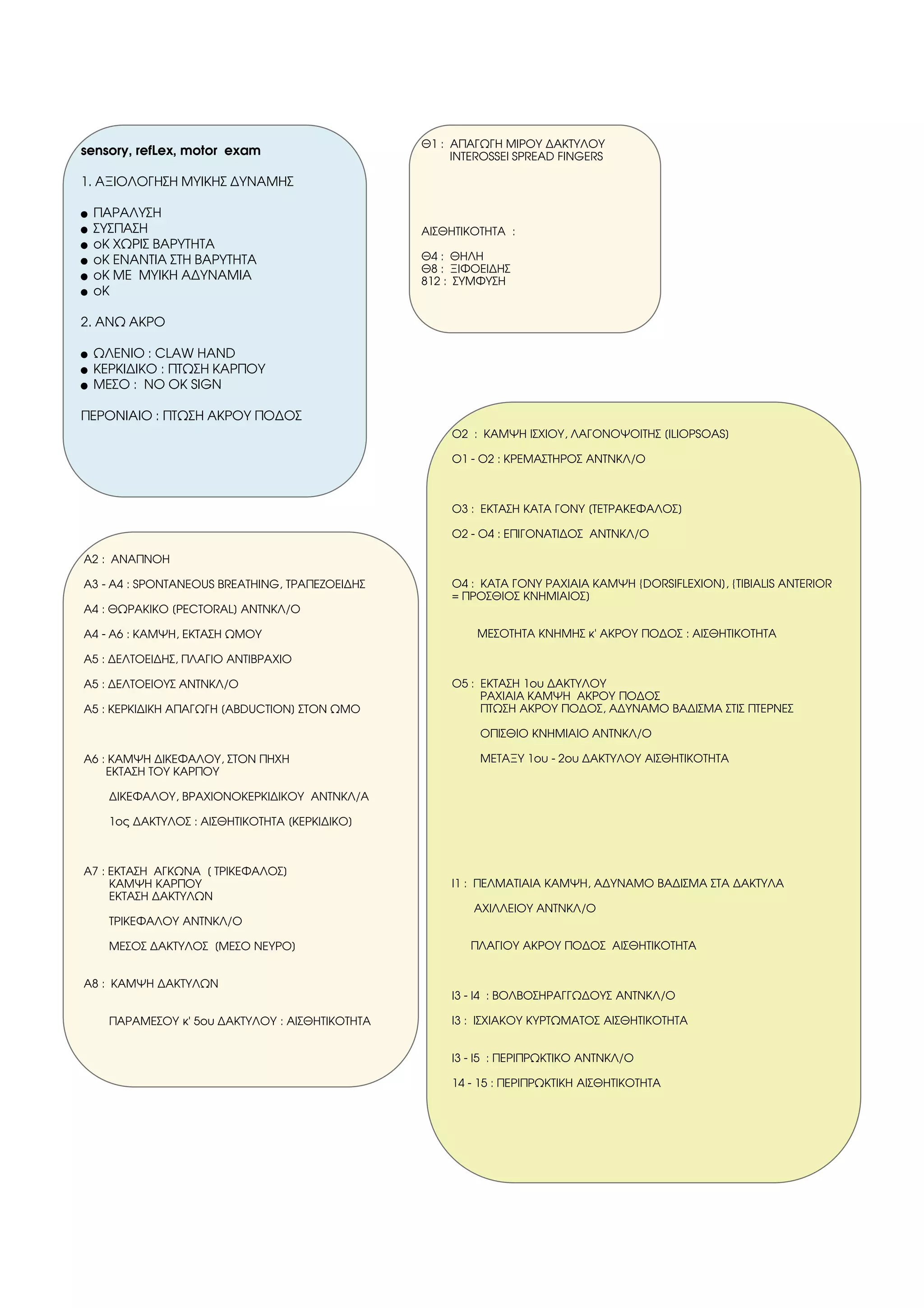 11 Sensory, Reflex, Motor Exam PDF