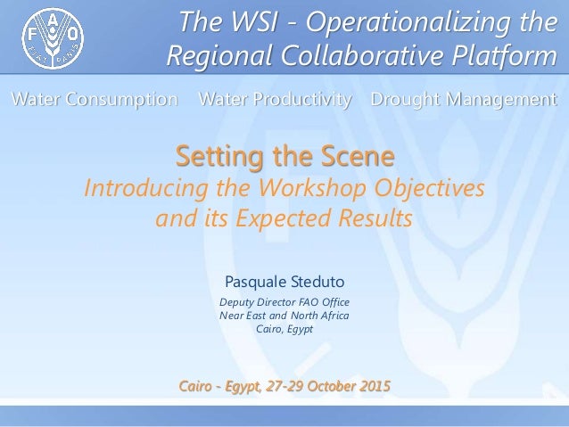 Setting The Scene Introducing The Workshop Objectives And Its Expect