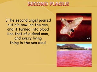 v. 3
3The second angel poured
out his bowl on the sea,
and it turned into blood
like that of a dead man,
and every living
thing in the sea died.
 