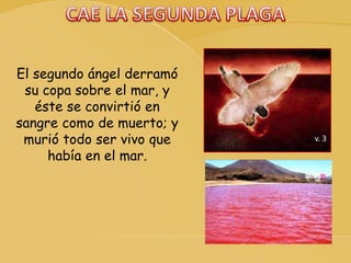 v. 3
El segundo ángel derramó
su copa sobre el mar, y
éste se convirtió en
sangre como de muerto; y
murió todo ser vivo que
había en el mar.
 